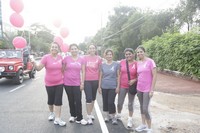 Celebs at Pink Ribbon Walk 2012 Photos